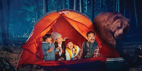 Family camping in the woods Family camping in the woods
