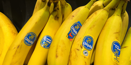 chiquita bananas chiquita bananas