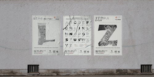 WWF WWF