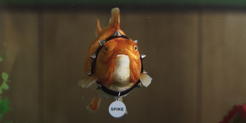 Goldfish in abowl Goldfish in abowl