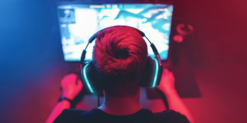 Gamer Gamer