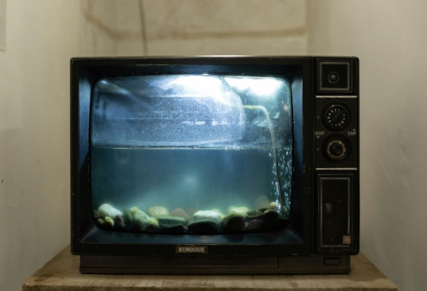 An old-fashioned CRT TV, turned into a fish bowl An old-fashioned CRT TV, turned into a fish bowl